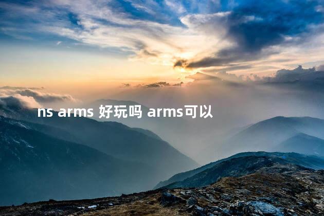 ns arms 好玩吗 arms可以一个人玩